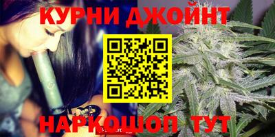 Альфа ПВП Можга