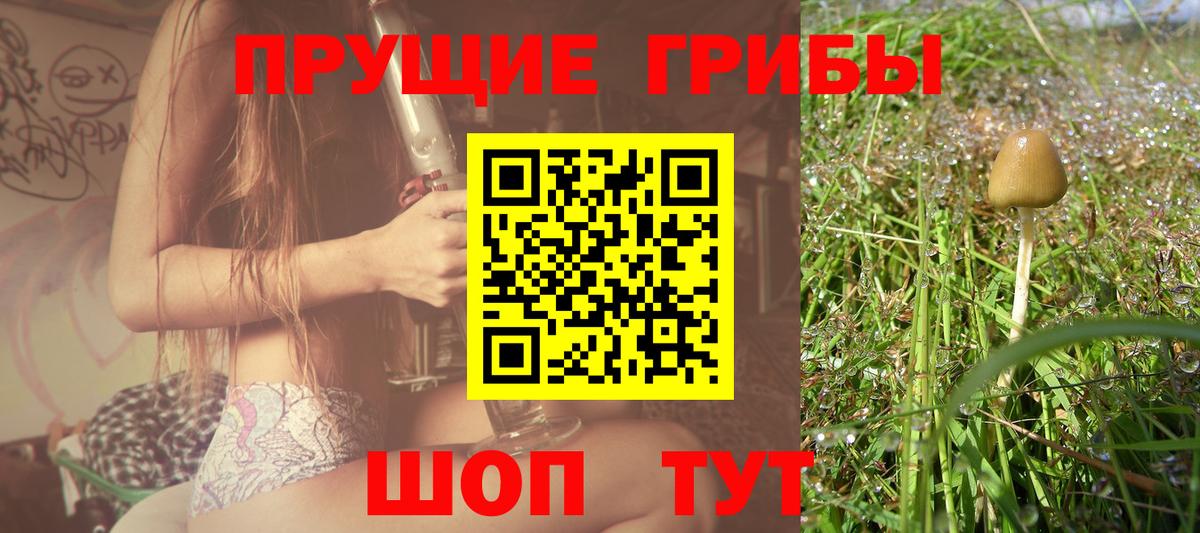 Псилоцибиновые грибы мухоморы Чернушка