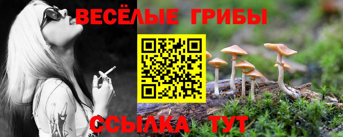 Чернушка  Псилоцибиновые грибы мицелий  Вход с VPN 